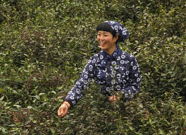 动漫